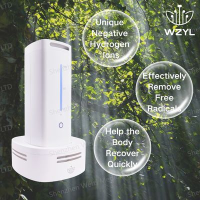 Good price 12V negatief waterstof zuurstof inhalator generator 18W Desktop Style online