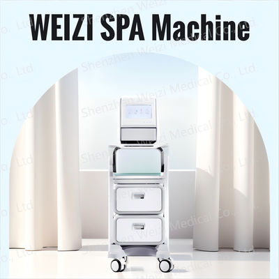 Good price Alkaline water waterstof SPA machine met negatieve-ion technologie acneverlichting online
