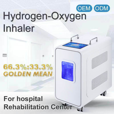 Good price 110v 220v Home PEM waterstofinhalatie therapie machine 3000ml online