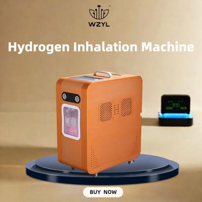 Good price AC220V waterstofzuurstofinhalator Waterstofinhalatie machine 3000ml/M online